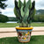 LIMONIERA PLANTER VASE: Large Cachepot-Planter for large plants and trees - Design CAPRI