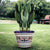 LIMONIERA PLANTER VASE: Large Cachepot-Planter for large plants and trees - Design RICCO DERUTA