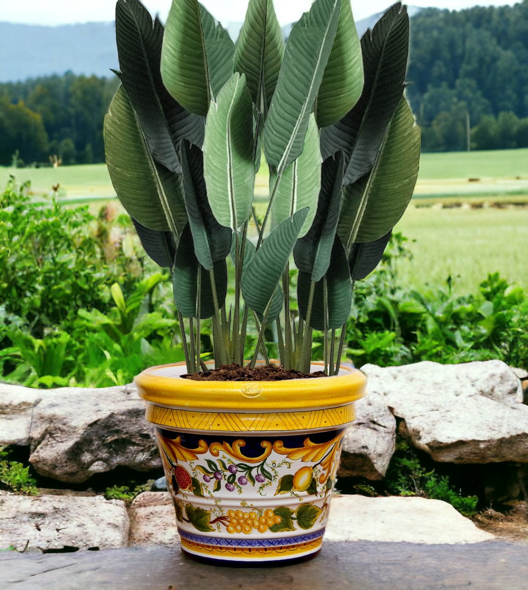 LIMONIERA PLANTER VASE: Large Cachepot-Planter for large plants and trees - Design VIETRI