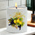 SUBLIMART: NEW! > Porcelain Soy Wax Candle 'AMALFI COAST GARDENIA'