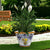 TOSCANA PLANTERS: Round Tuscan planter/vase 'Campana' - Strong Terracotta indoor/outdoor freeze resistant - FRUTTINA Design