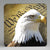 SUBLIMART: MDF Hardboard Set of 4 Coasters - Design: Patriotic USA 07