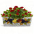 TOSCANA: Rectangular Tuscan Jardiniere - Strong Terracotta indoor/outdoor - Frutta Design