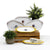 RICCO DERUTA DELUXE: Oval/Oblong Small Tray - artisticaitalian.com