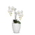 ELEGANTE: Corteza - European Style Small Flower Pot Panna White (5.5"H.) - artisticaitalian.com