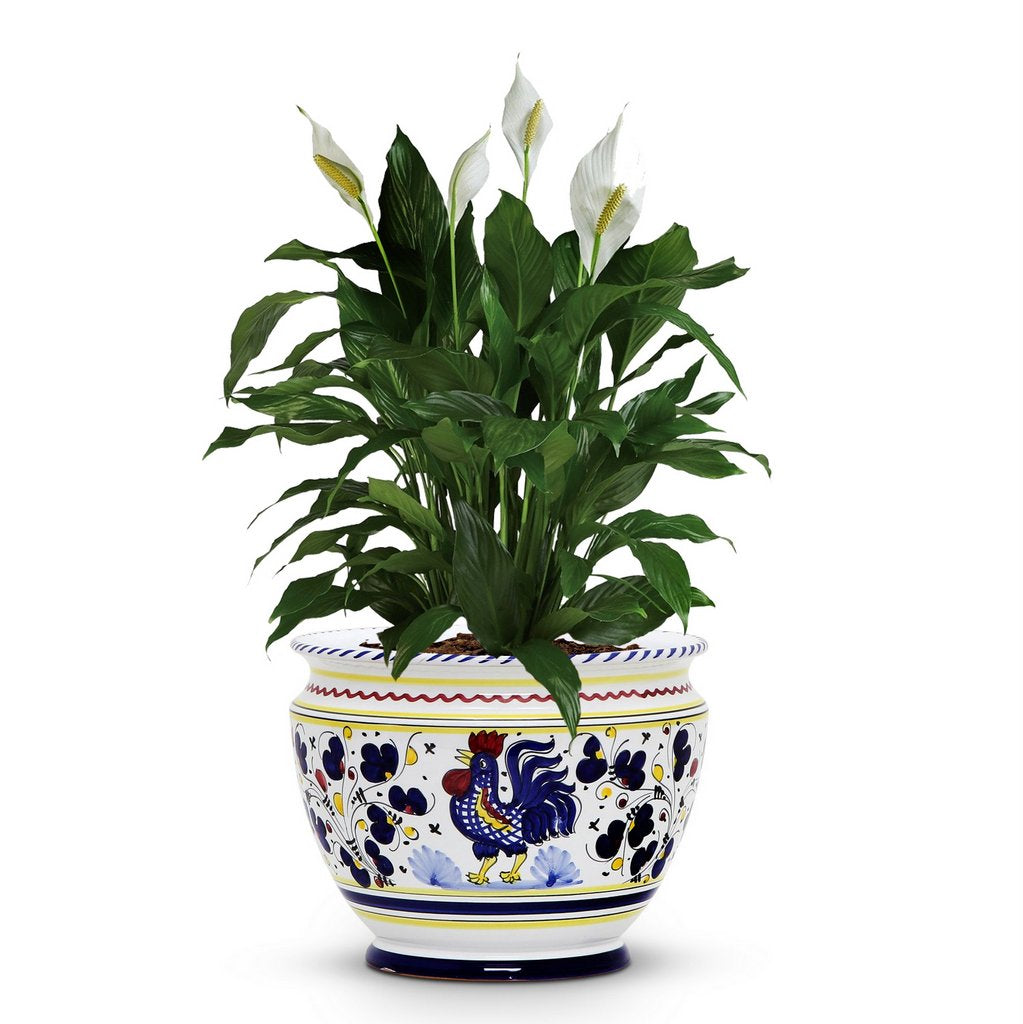 ORVIETO BLUE ROOSTER: Luxury Cachepot Planter Small - artisticaitalian.com