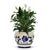 ORVIETO BLUE ROOSTER: Luxury Cachepot Planter Small - artisticaitalian.com