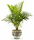 RICCO DERUTA: Luxury Cachepot Planter MED - artisticaitalian.com