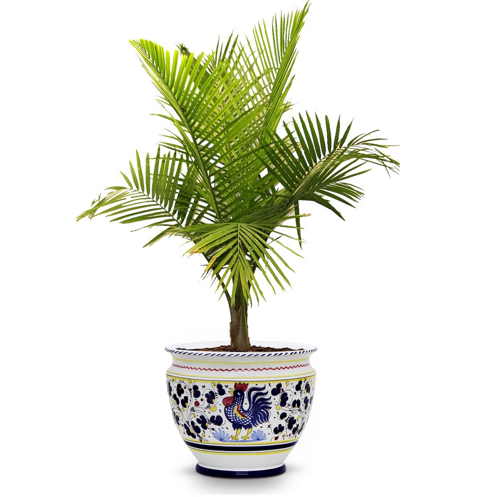 ORVIETO BLUE ROOSTER: Luxury Cachepot Planter Large - artisticaitalian.com