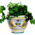 RAFFAELLESCO: Luxury Cachepot Planter MED - artisticaitalian.com