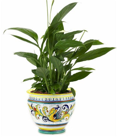 RAFFAELLESCO: Luxury Cachepot Planter LARGE - artisticaitalian.com