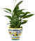 RAFFAELLESCO: Luxury Cachepot Planter LARGE - artisticaitalian.com