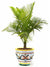 RICCO DERUTA: Luxury Cachepot Planter LARGE - artisticaitalian.com