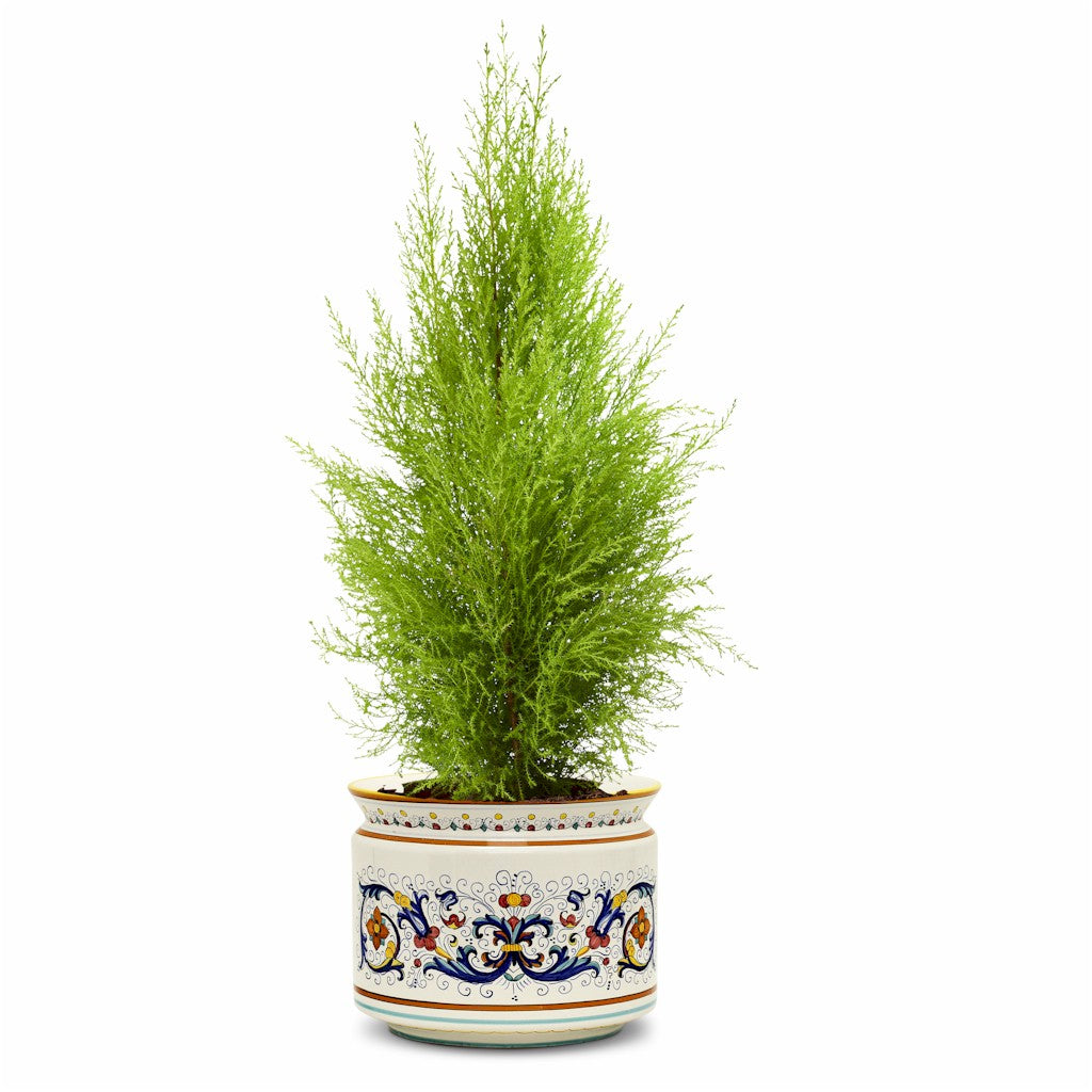 RICCO DERUTA: Cylindrical Cover Pot Ricco Deruta Design - Cachepot Planter (Large) - artisticaitalian.com