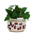 ORVIETO RED ROOSTER: Cylindrical Cover Pot - Cachepot Planter (Small) - artisticaitalian.com