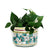 ORVIETO GREEN ROOSTER: Cylindrical Cover Pot - Cachepot Planter (Small) - artisticaitalian.com